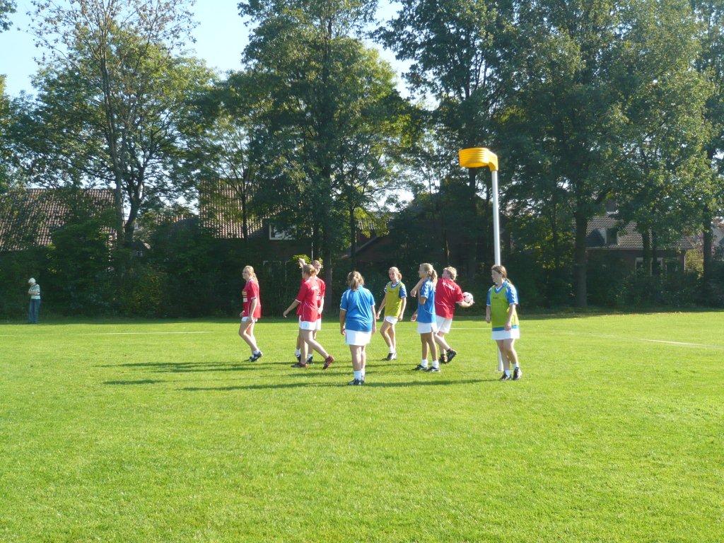 B3- Klimop 01-okt-2011 (13).jpg